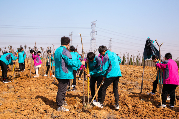 “攜手植樹，共創(chuàng)藍天”丨南京新華師生共筑新華育才林