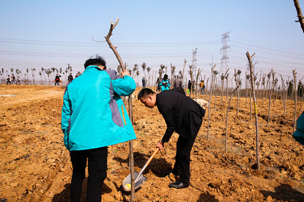 “攜手植樹，共創(chuàng)藍天”丨南京新華師生共筑新華育才林