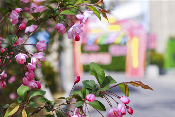 春暖花開，等你歸來——邀你云賞南新春景，以慰思念